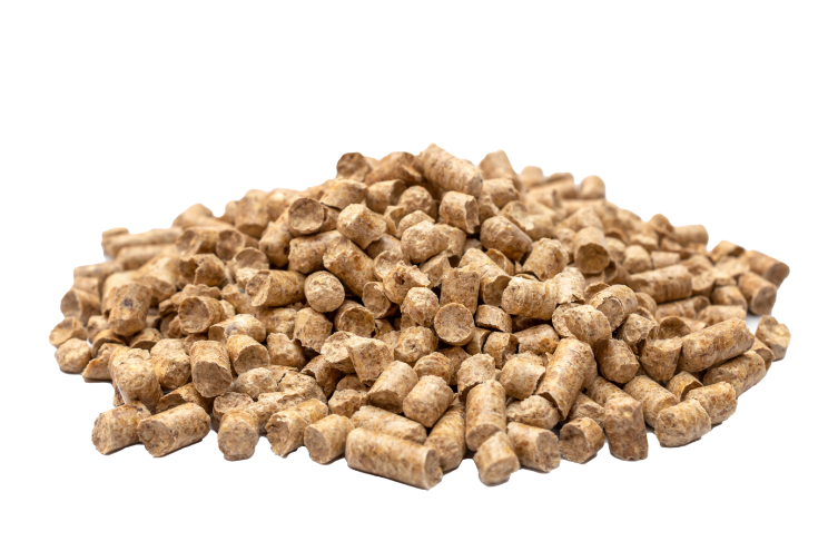 Absorbent Pellets