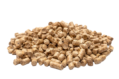 Absorbent Pellets