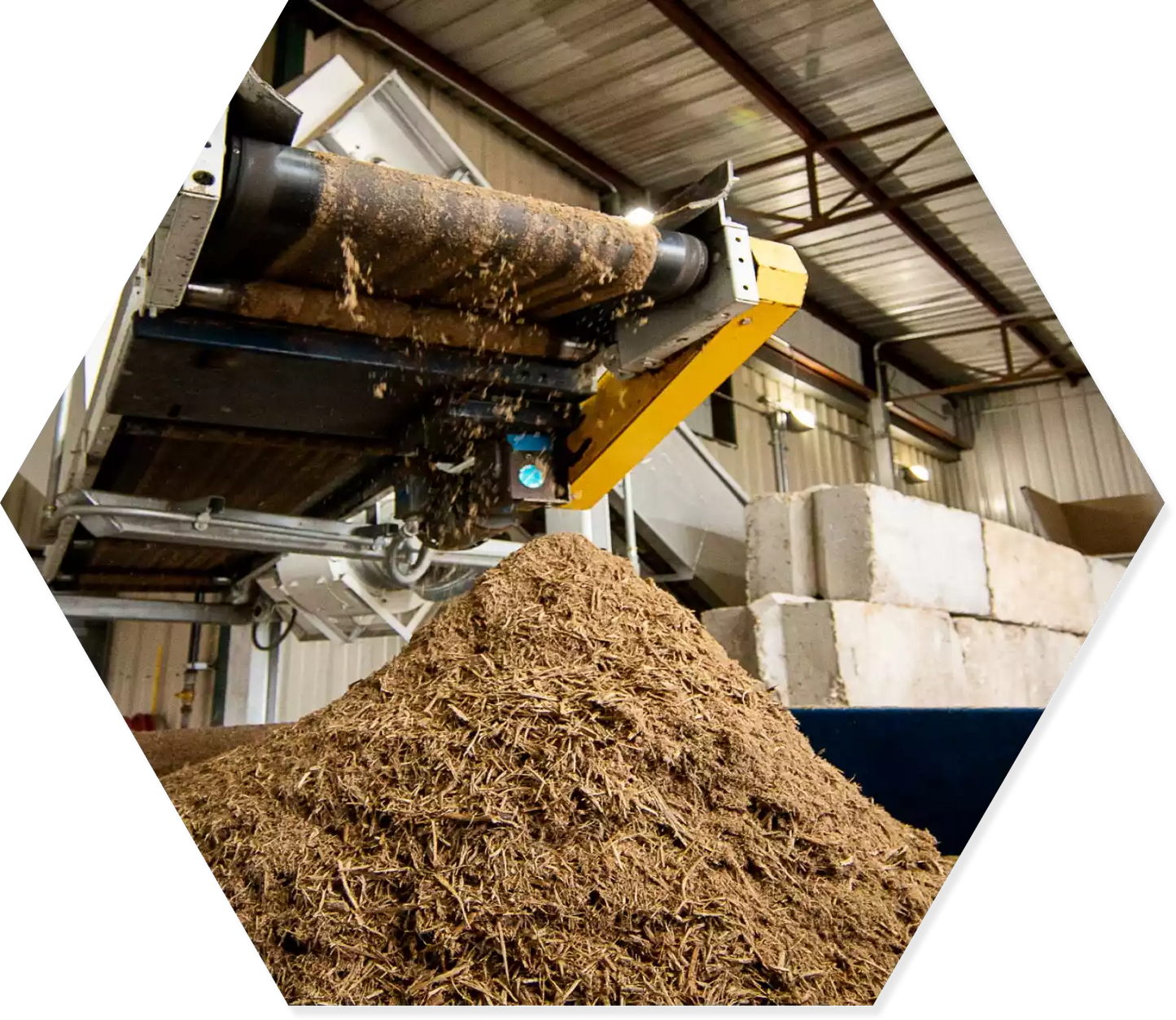 Absorbent Pellets